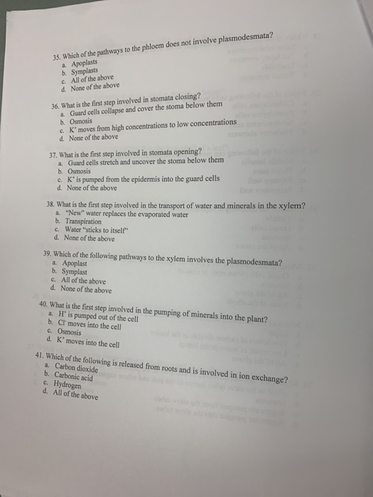 Solved There are 50 questions. Each question is worth 2 | Chegg.com