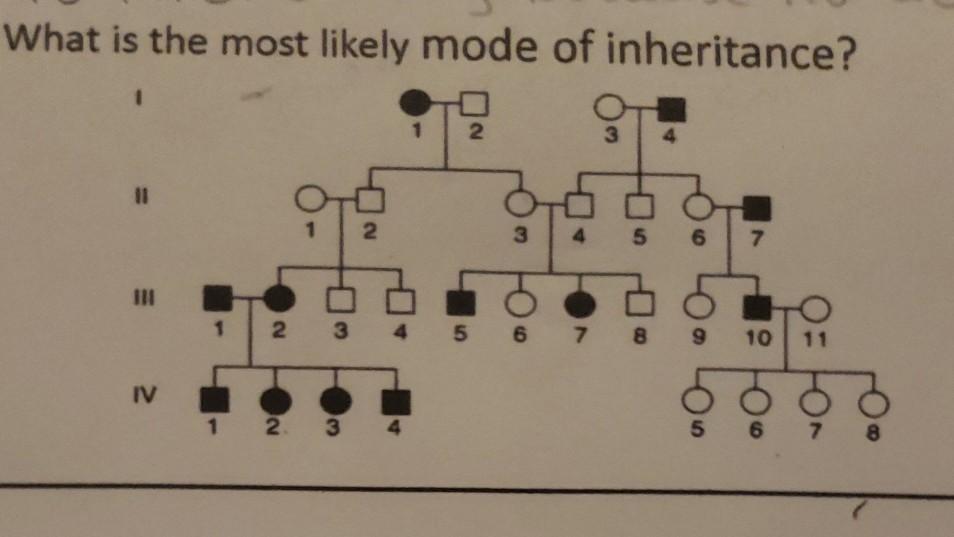 Solved What Is The Most Likely Mode Of Inheritance? 1 1 2 3 | Chegg.com