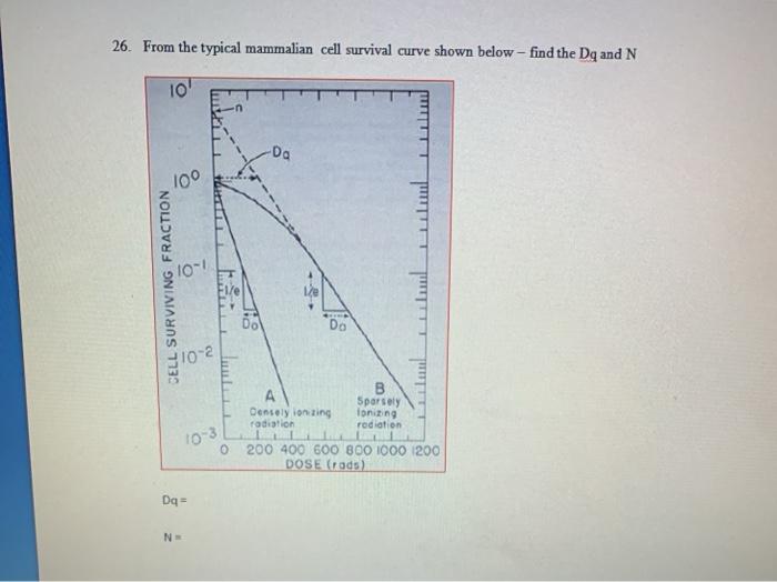 Solved 26. From the typical mammalian cell survival curve | Chegg.com
