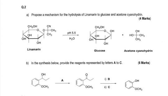 Solved 0 2 A Propose A Mechanism For The Hydrolysis Of L Chegg Com