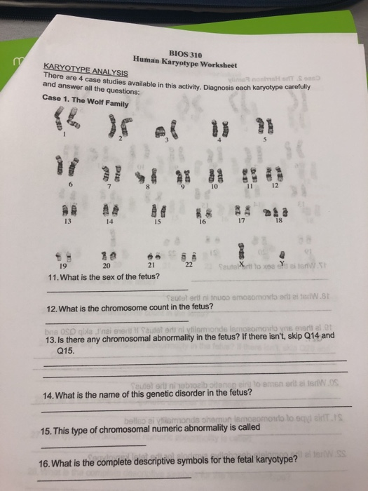 Answer Key Biology Karyotype Worksheet Answers Natureal