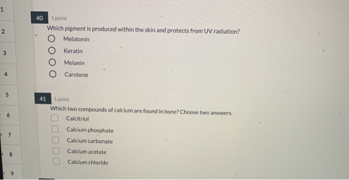 joint of point where two bones meet