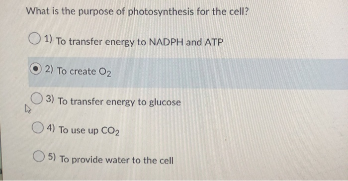 Solved What is the purpose of photosynthesis for the cell? | Chegg.com