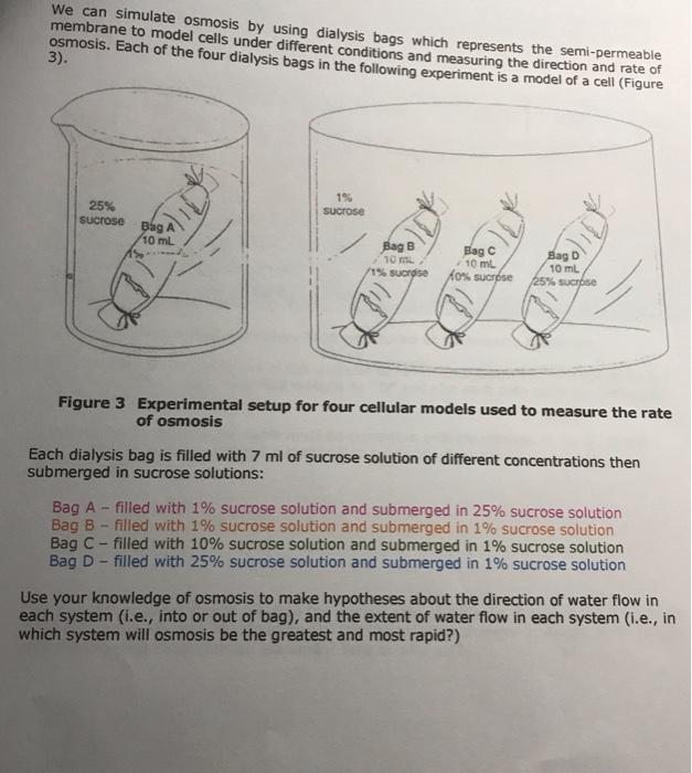 We can simulate osmosis by using dialysis bags which