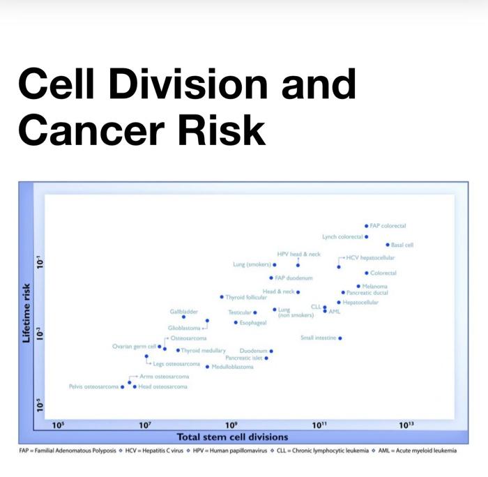 Many Lung Cancers Are Now In Nonsmokers A Comprehensive Guide - d900c60