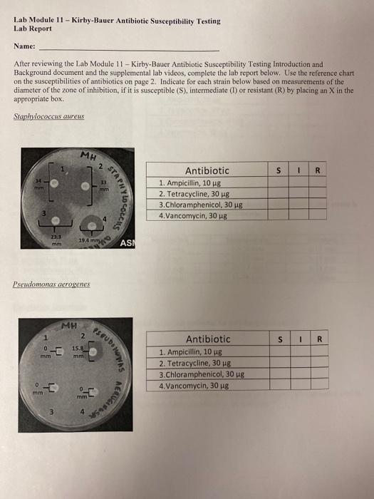 Solved STAPHYLOCOCCUS Lab Module 11 KirbyBauer Antibiotic