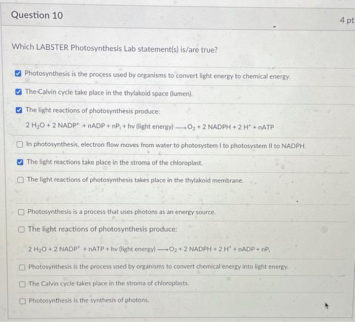 Solved Question 10 4 pt Which LABSTER Photosynthesis Lab