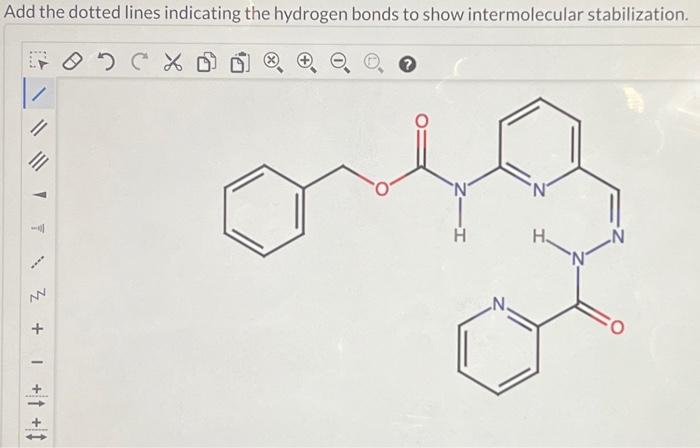 Solved Add the dotted lines indicating the hydrogen bonds to | Chegg.com