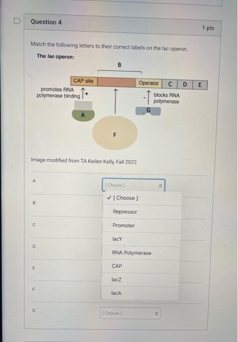Solved Match the following letters to their correct labels | Chegg.com