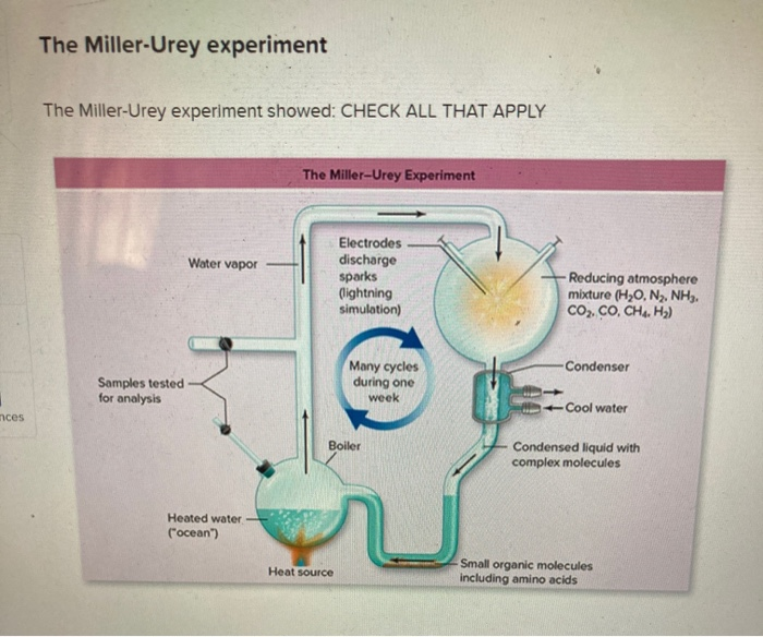 what is the miller urey experiment quizlet