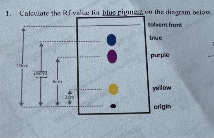 Solved 1. Calculate the Rf value for blue pigment on the | Chegg.com