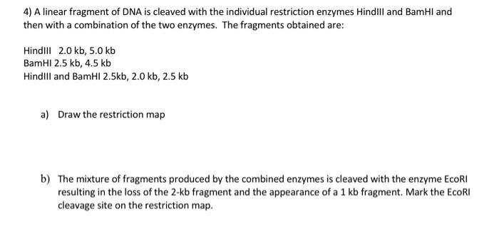 Solved 4) A linear fragment of DNA is cleaved with the | Chegg.com