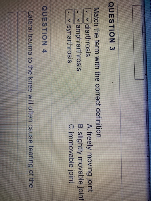 Solved QUESTION 3 Match the term with the correct | Chegg.com