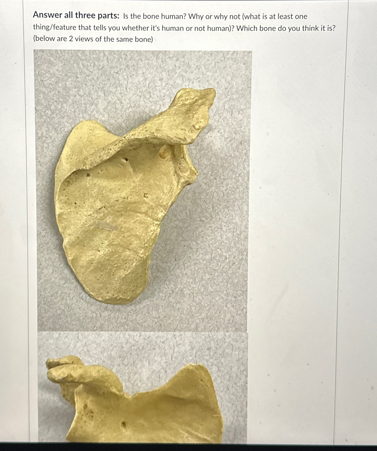Solved Answer all three parts: Is the bone human? Why or why | Chegg.com
