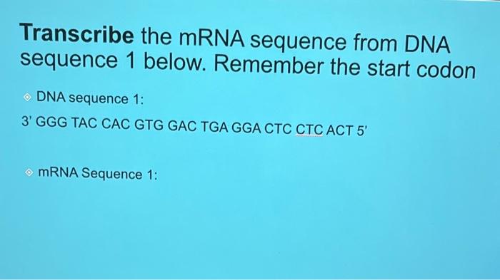 Solved Transcribe the mRNA sequence from DNA sequence 1 | Chegg.com