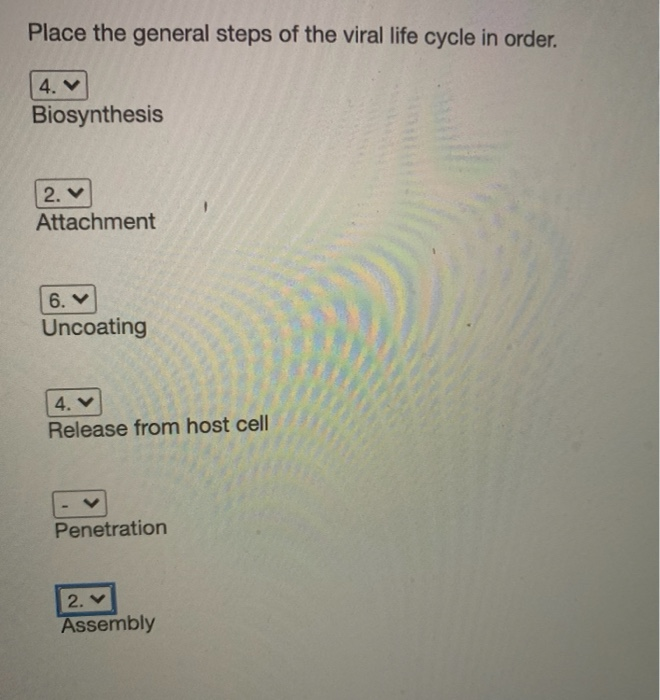 Solved Place the general steps of the viral life cycle in | Chegg.com