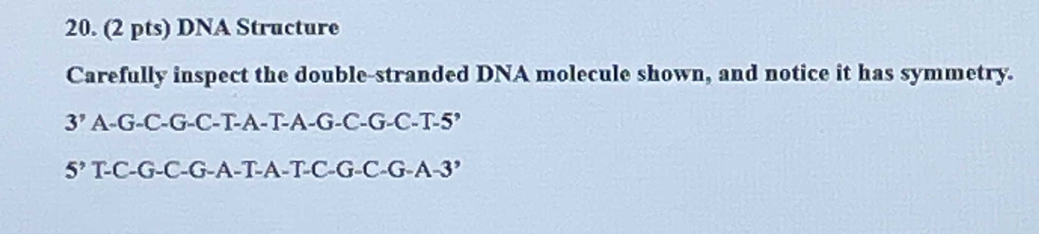Solved DNA StructureCarefully inspect the double-stranded | Chegg.com