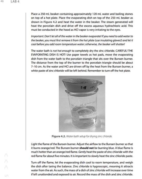 Solved This is an online lab and students are expected to | Chegg.com