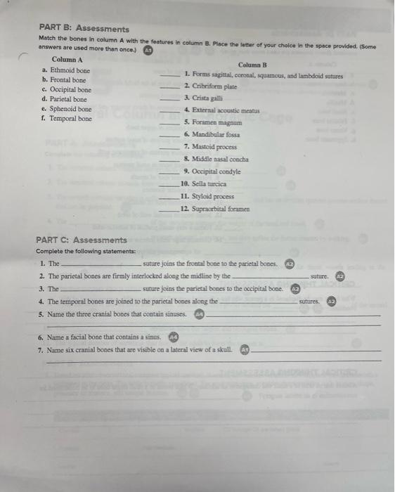 Solved PART B: Assessments Match the bones in column A with | Chegg.com