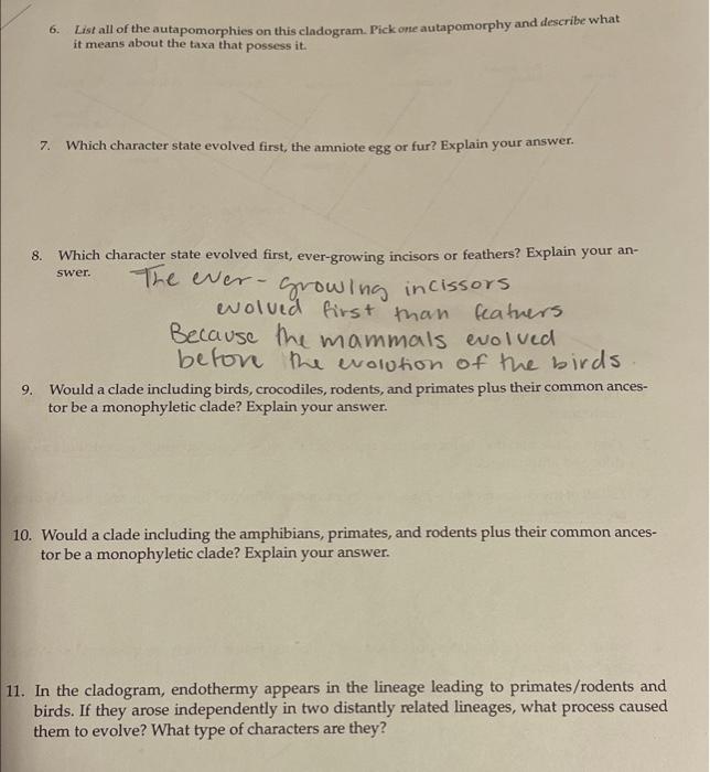 Solved Laing the previous definitions, answer the questions | Chegg.com