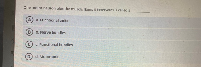 Solved One motor neuron plus the muscle fibers it innervates | Chegg.com