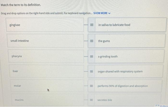Solved Match the term to its definition Drag and drop | Chegg.com