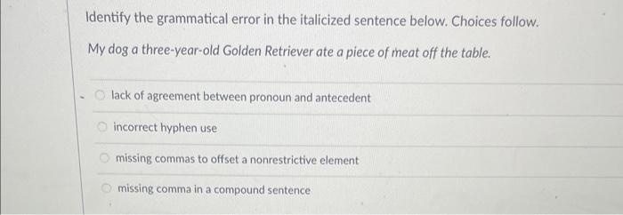 Identify the grammatical error in the italicized | Chegg.com