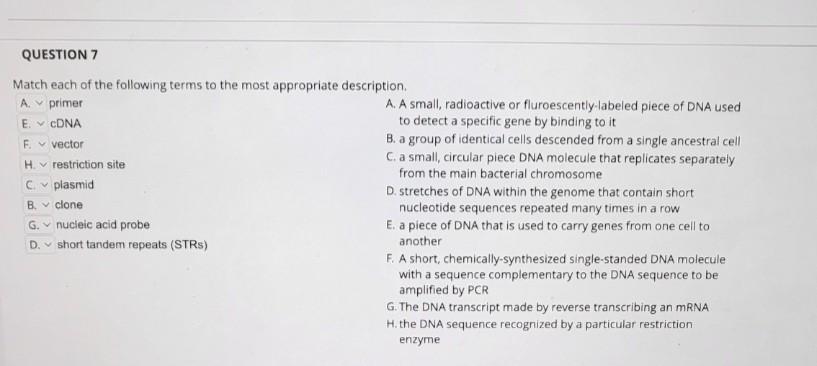 Solved The control of gene expression is more complex in | Chegg.com