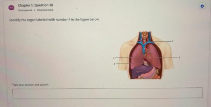 Solved Chapter 1: Question 38 Homework. Unanswered o | Chegg.com