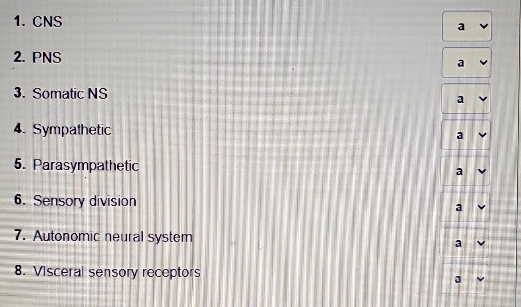 Solved Match the items. a. It monitors sensory impulses from
