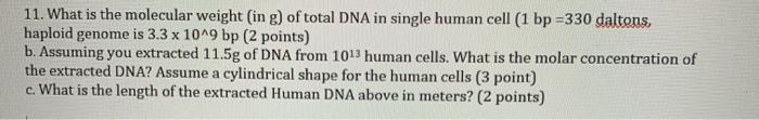 Solved 11. What is the molecular weight (ing) of total DNA | Chegg.com