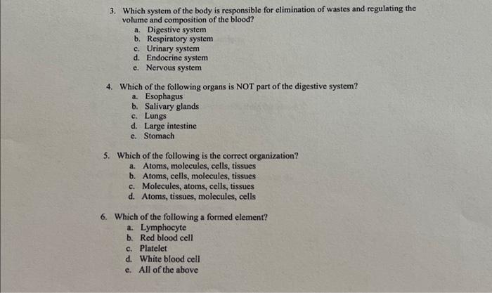 Body organization and composition