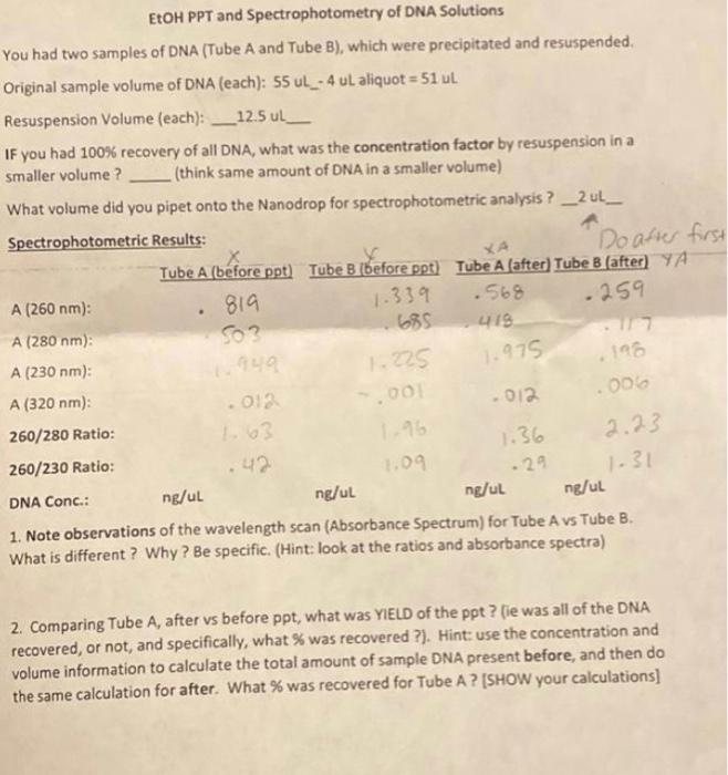 Solved EtOH PPT and Spectrophotometry of DNA Solutions You