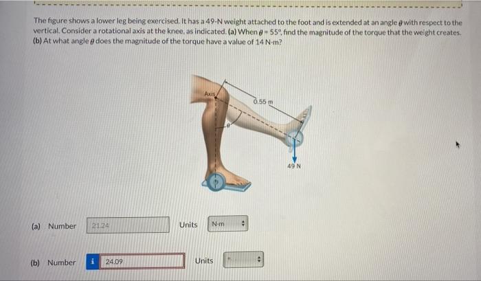 Solved The figure shows a lower leg being exercised. It has | Chegg.com
