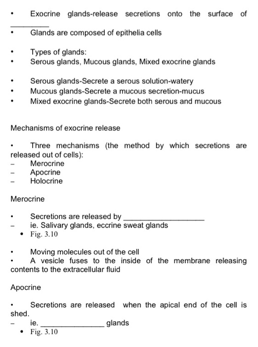 Solved Exocrine Glands Release Secretions Onto The Surface Chegg Com