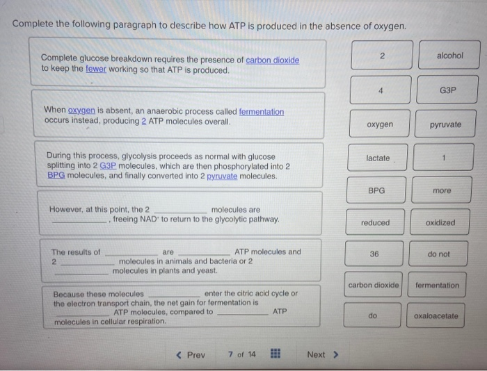 solved-complete-the-following-paragraph-to-describe-how-atp-chegg