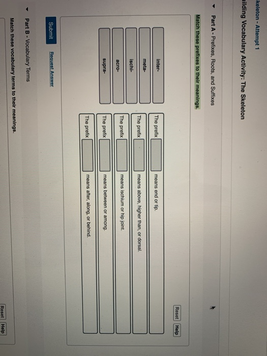 solved-keleton-attempt-1-uilding-vocabulary-activity-the-chegg