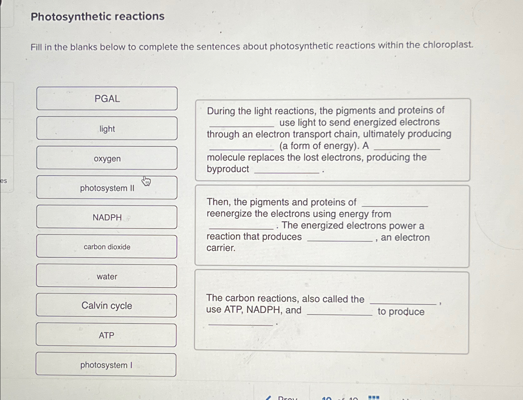 Solved Photosynthetic ReactionsFill In The Blanks Below To | Chegg.com