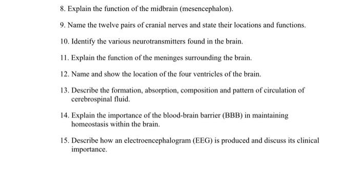 midbrain function