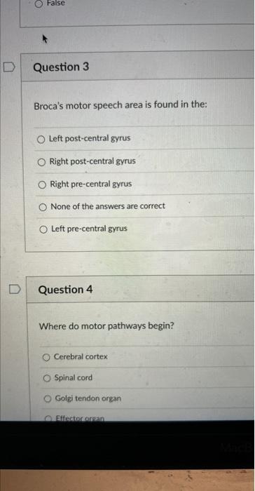 Solved Question 3 Broca's motor speech area is found in the: | Chegg.com