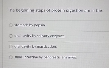 Solved The beginning steps of protein digestion are in | Chegg.com
