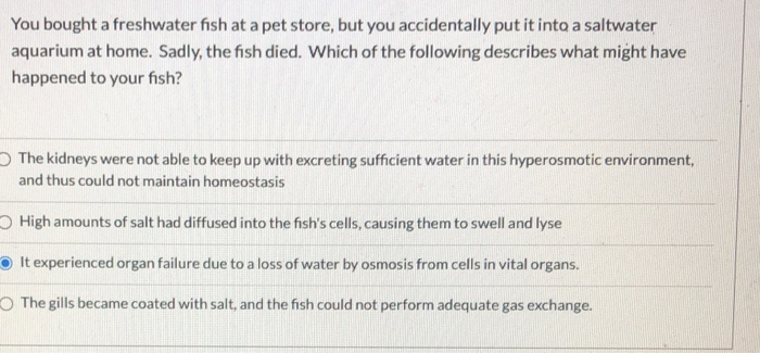 Solved You bought a freshwater fish at a pet store, but you | Chegg.com
