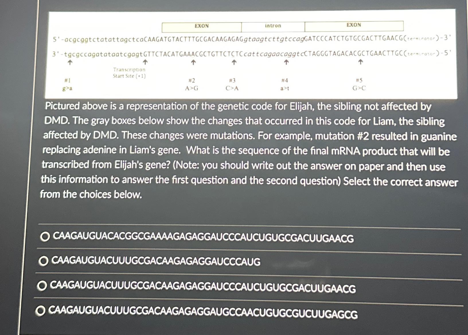 Solved Pictured Above Is A Representation Of The Genetic | Chegg.com