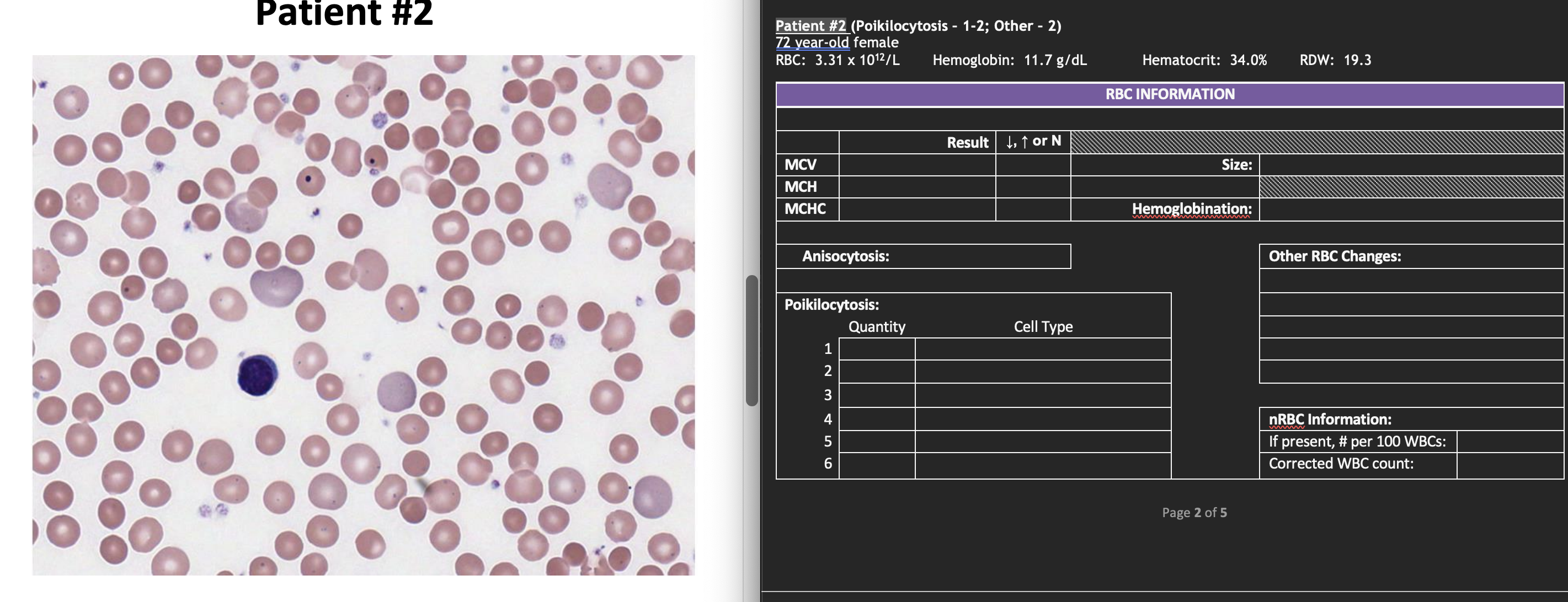 Complete an RBC ﻿Morphology Scan. For each scan, you | Chegg.com