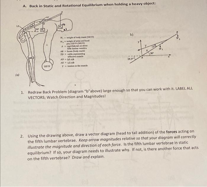 Solved A. Back in Static and Rotational Equilibrium when | Chegg.com