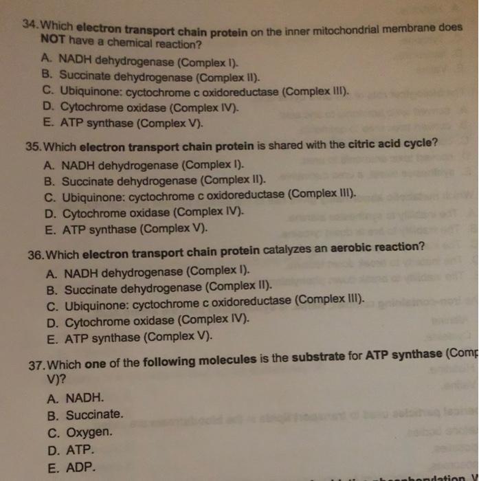 Solved 34. Which electron transport chain protein on the | Chegg.com