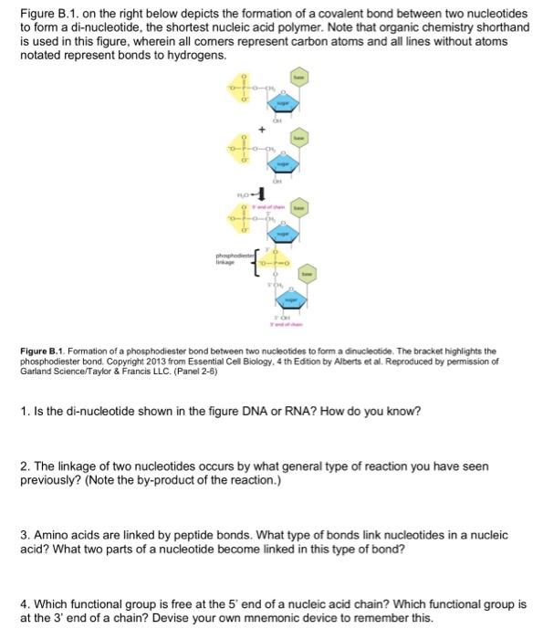 Solved Figure B.1. on the right below depicts the formation | Chegg.com