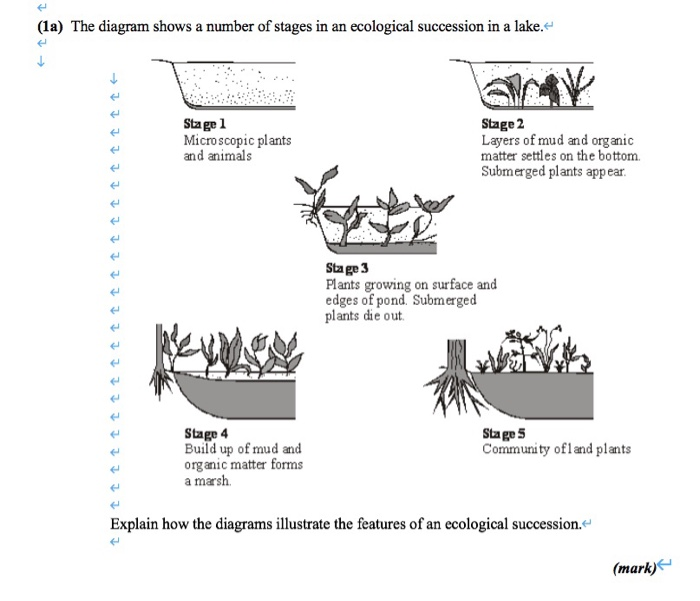 Solved (1a) The diagram shows a number of stages in an Solved (1a) The diagram shows a number of stages in an