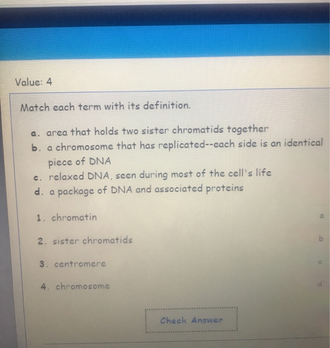 Solved Value: 4 Match each term with its definition. a. area | Chegg.com