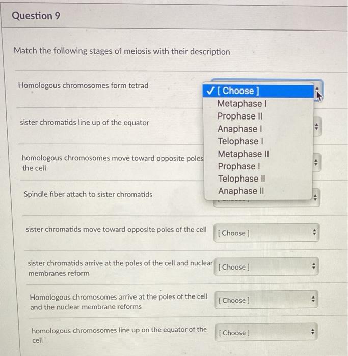 Solved Question 9 Match the following stages of meiosis with | Chegg.com